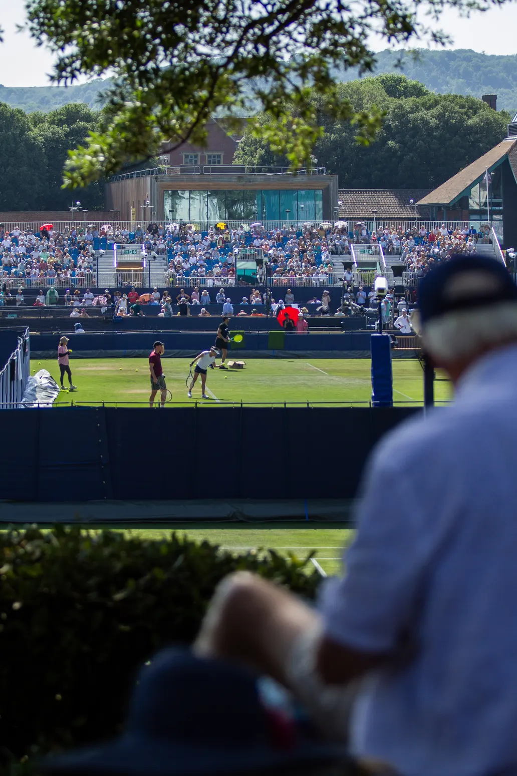 ATP Eastbourne 250 - zdjęcie 2