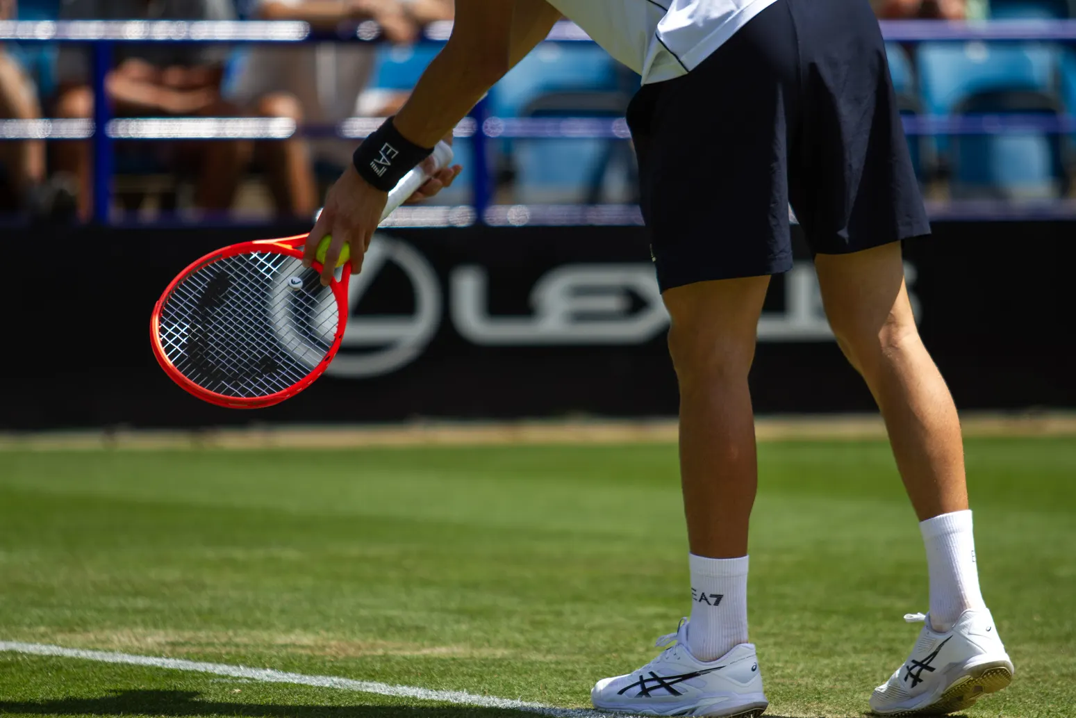 ATP Eastbourne 250 - zdjęcie 5