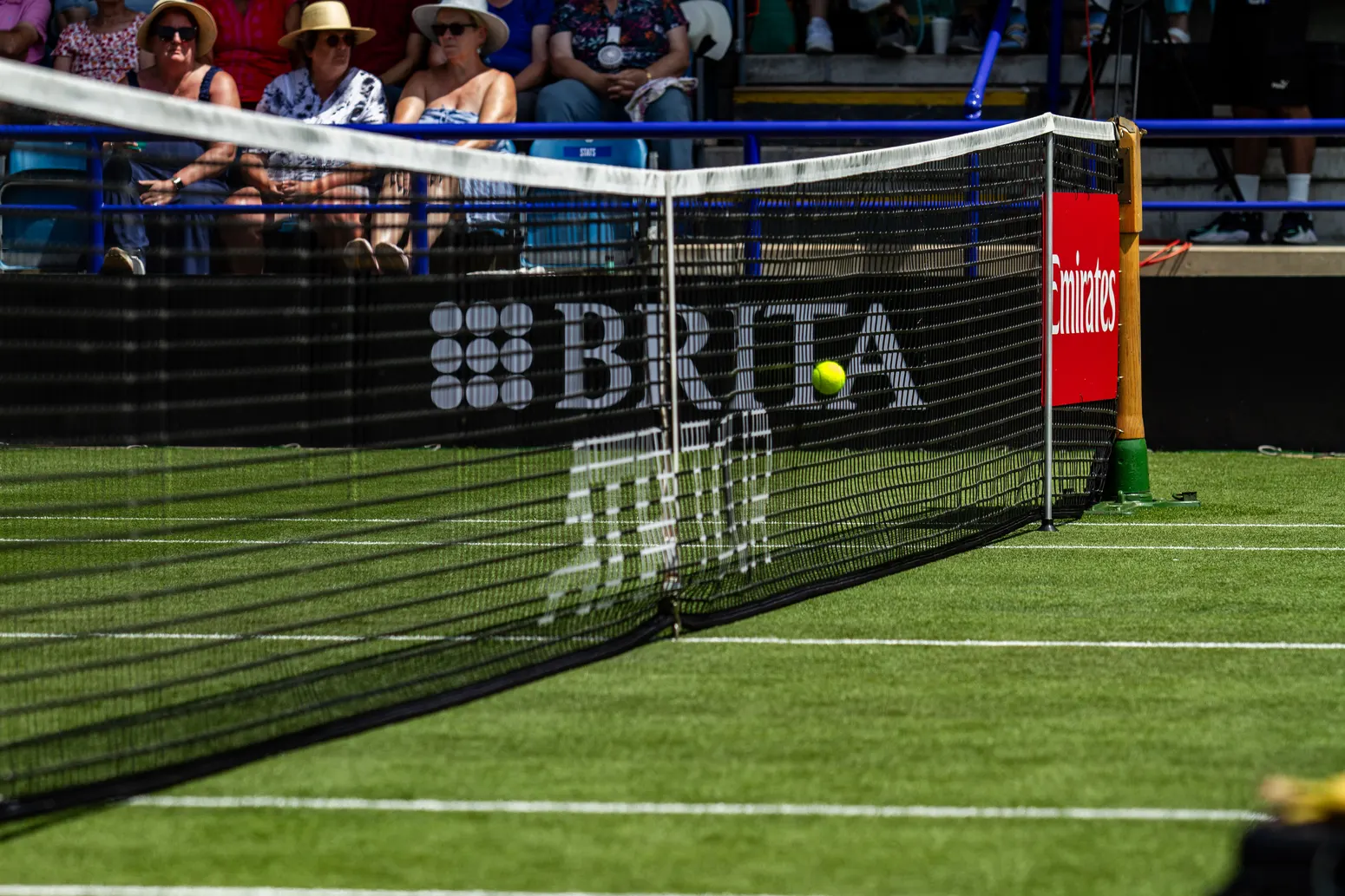 ATP Eastbourne 250 - zdjęcie 13