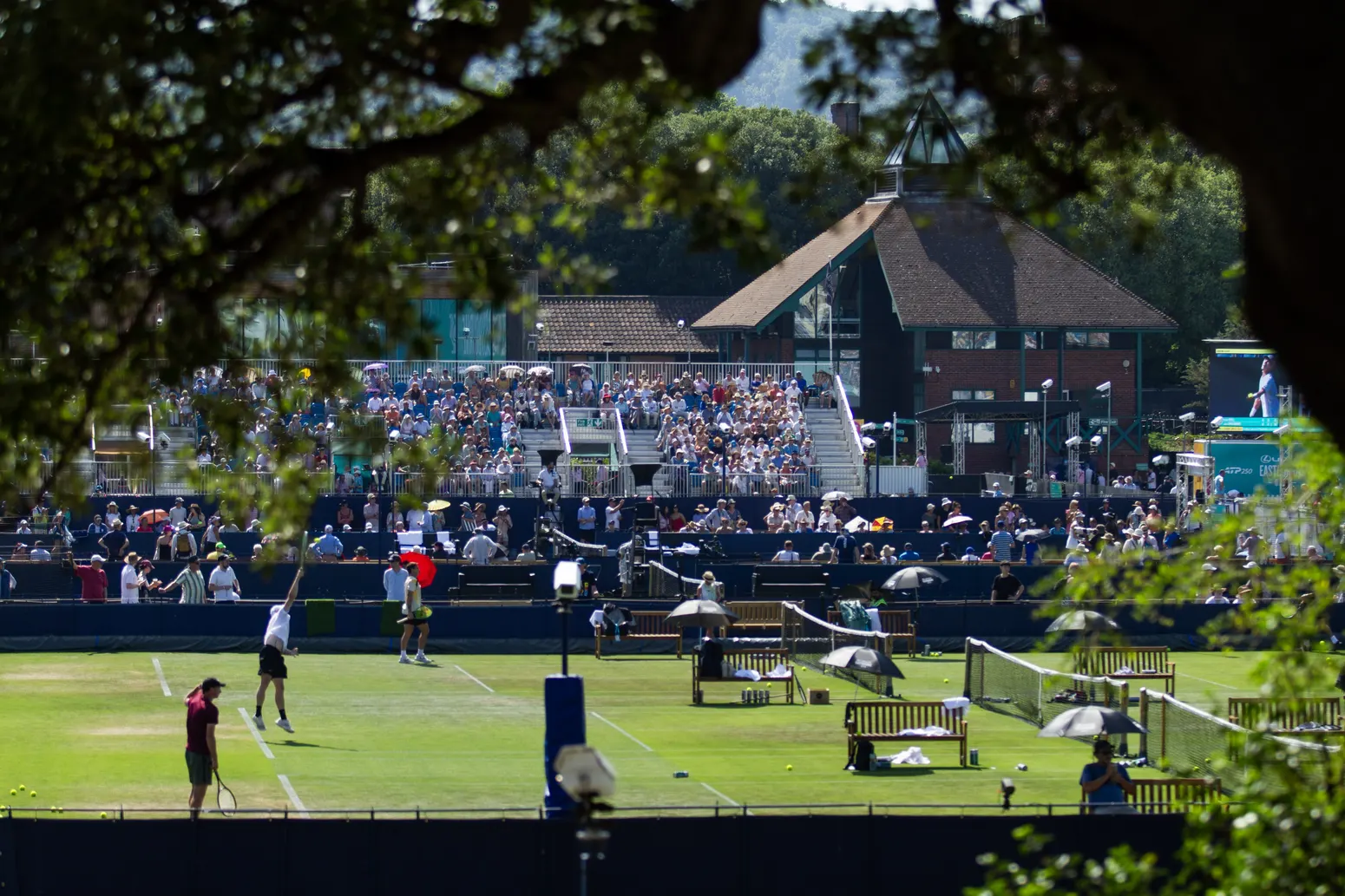 ATP Eastbourne 250 - zdjęcie 14