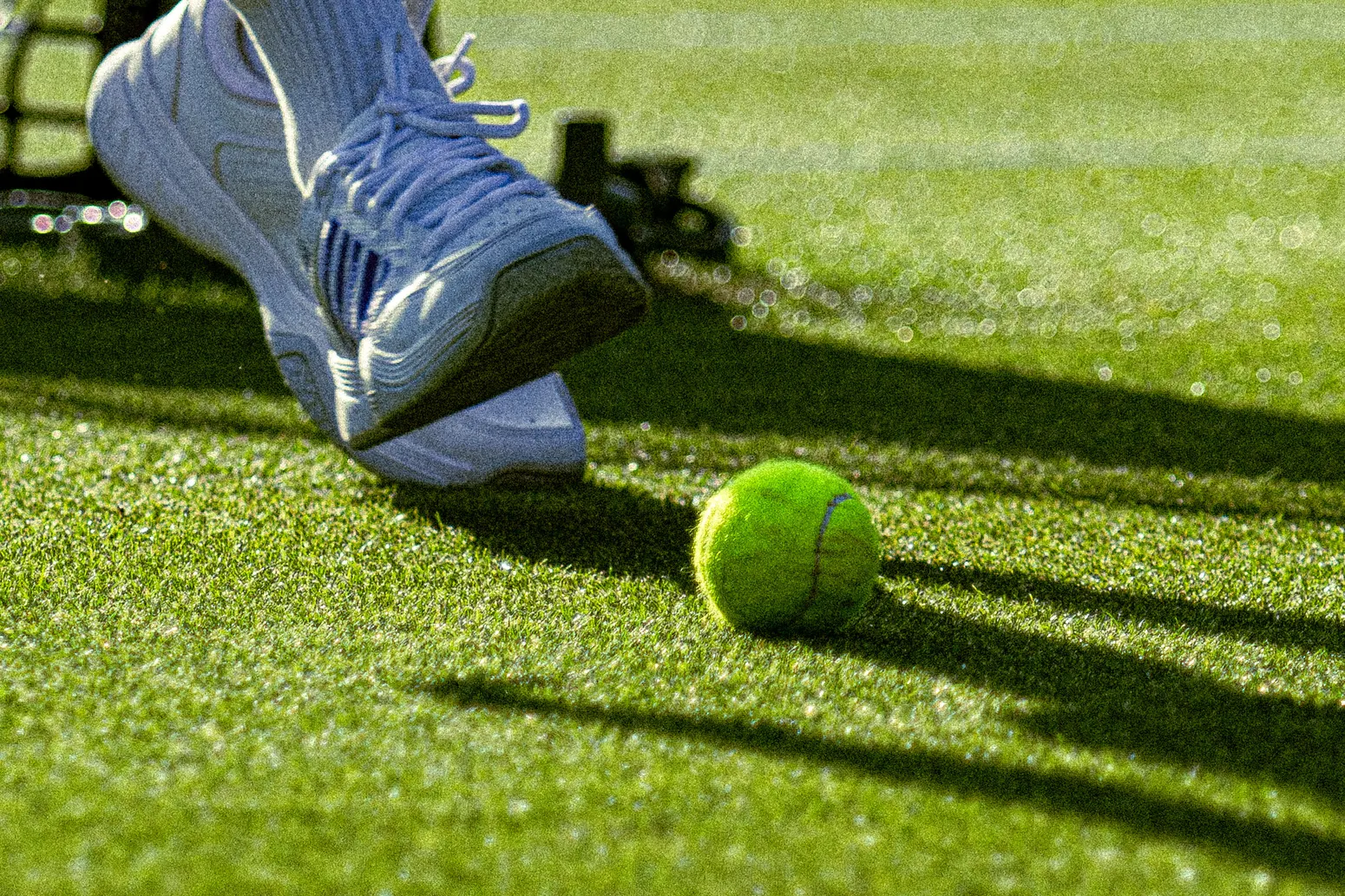 ATP Eastbourne 250 - zdjęcie 24