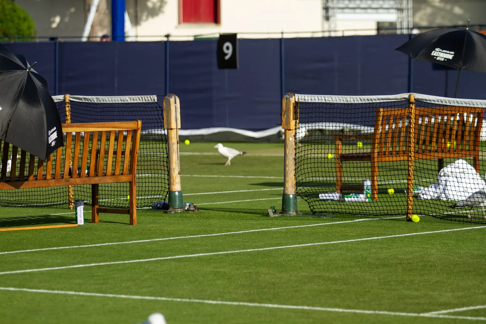 ATP Eastbourne 250 - zdjęcie 48