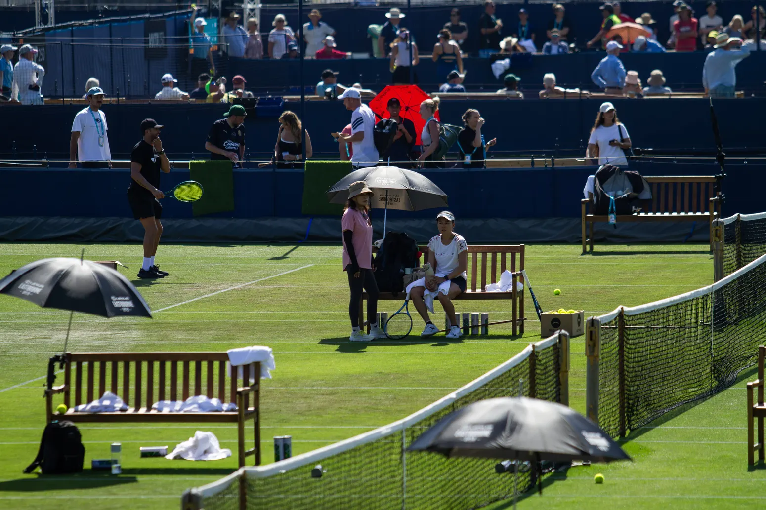 ATP Eastbourne 250 - zdjęcie 54