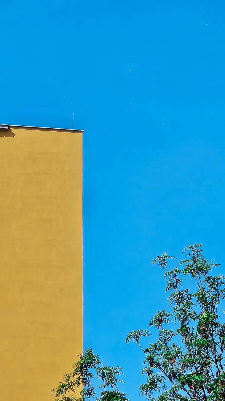 Podróże i obserwacje - zdjęcie 2